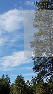 借新还旧贷款 逾期天数 借新还旧贷款 逾期天数